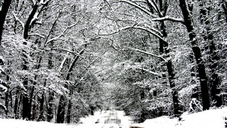 Winter Newsletter